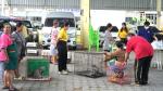 โครงการจ้างเหมาทำหมันสุนัขและแมวในเขตพื้นที่เทศบาลตำบลบ้านเพ ประจำปีงบประมาณ 2568...